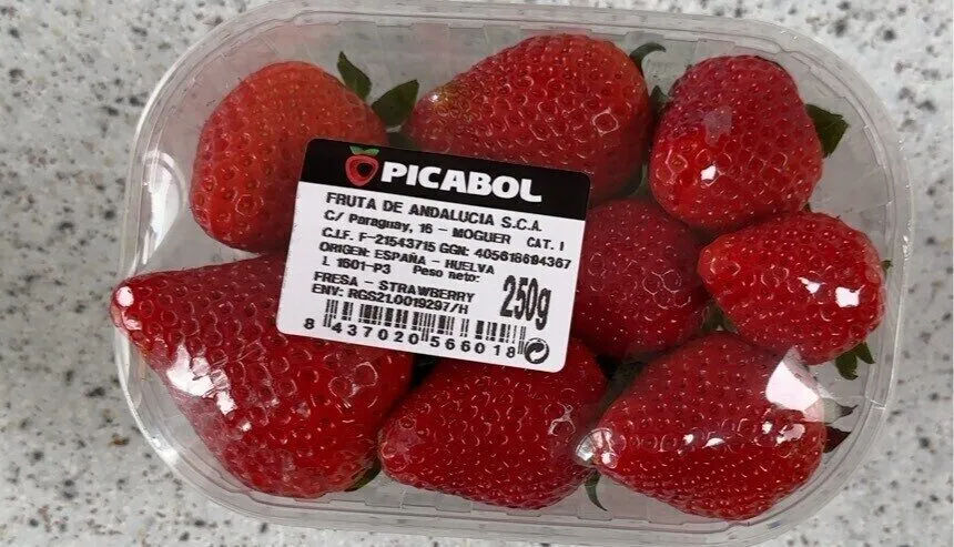 Fraise barquette 250gr