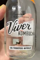 Viver kombucha