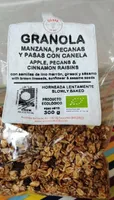 Granola manzana, pecanas y pasas con canela