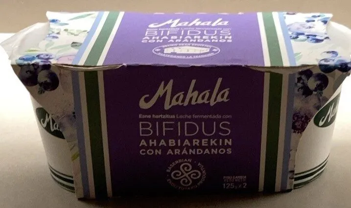 Yogur bifidus con arandanos