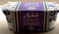 Yogur bifidus con arandanos
