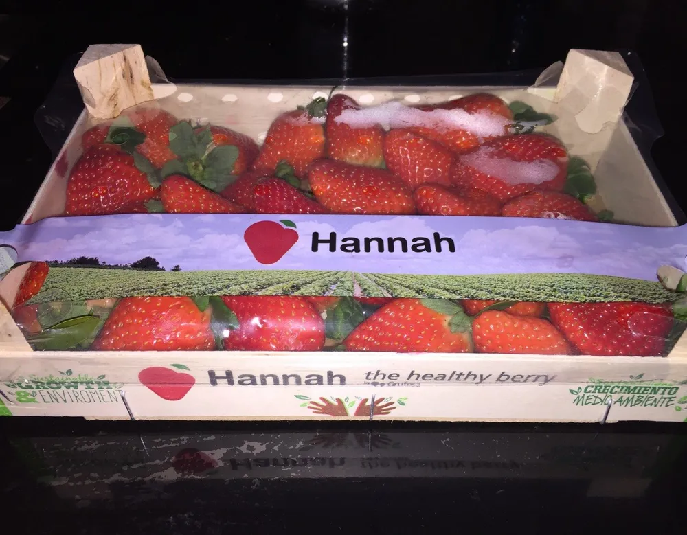 Hannah