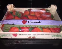 Hannah