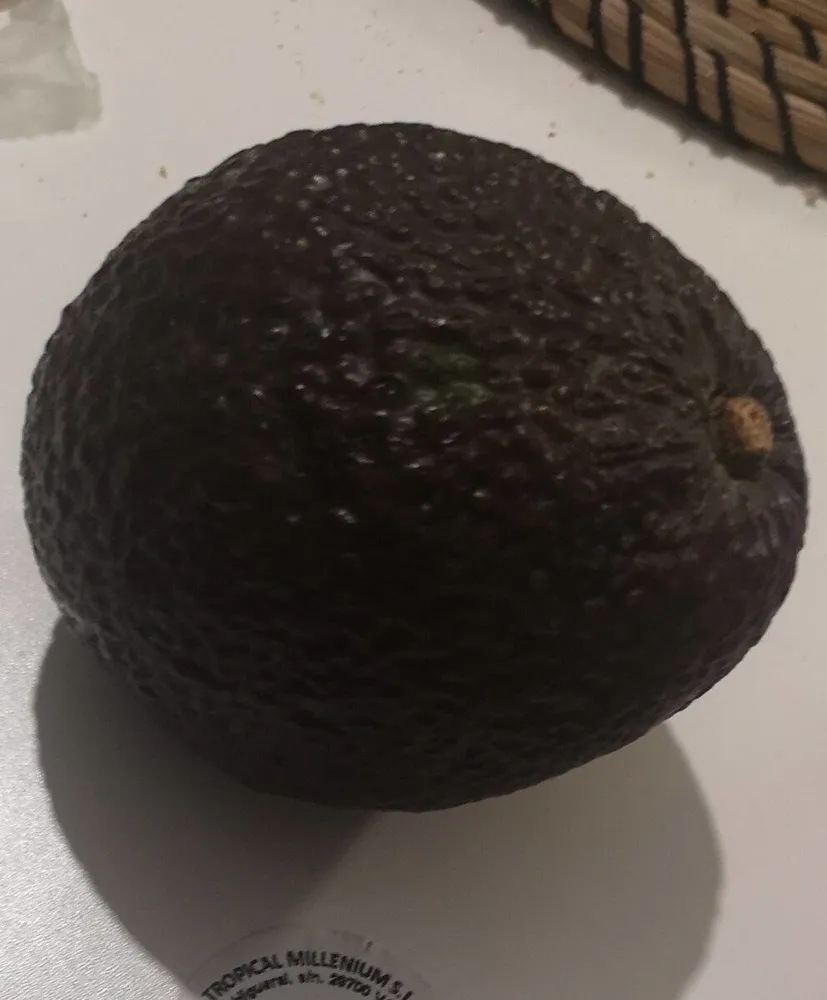 Aguacate
