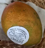 MANGO kent