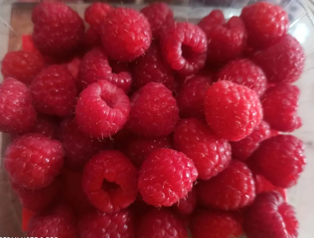 Frambuesas