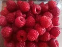Frambuesas