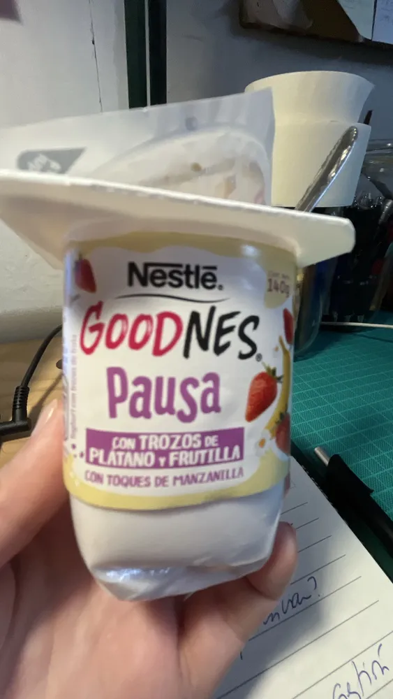 GoodNes Pausa
