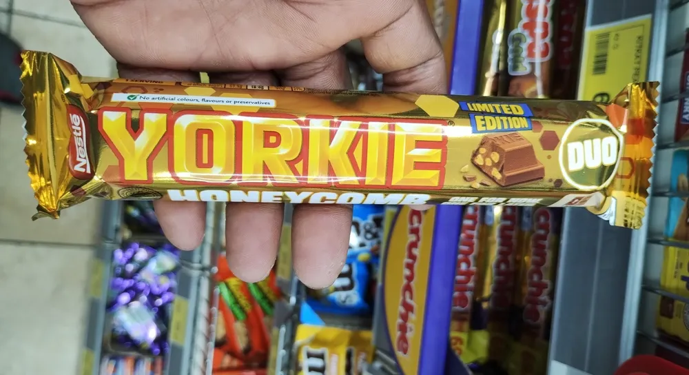 Yorkie Honeycomb Duo