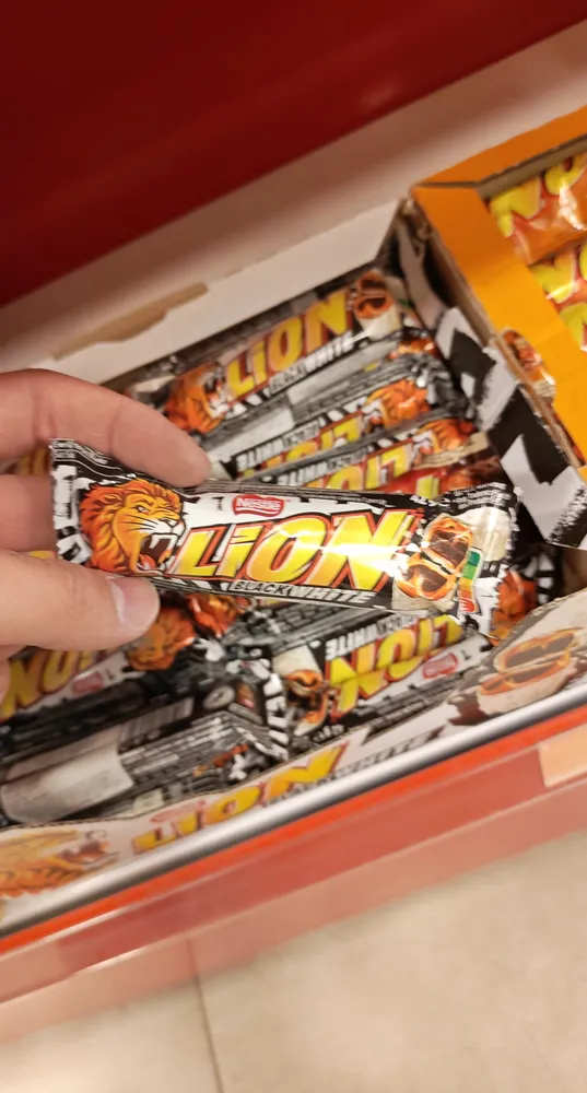 lion black and white