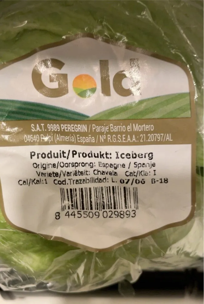 Iceberg