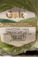 Iceberg
