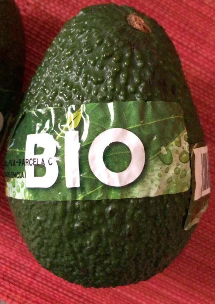 Avocat bio
