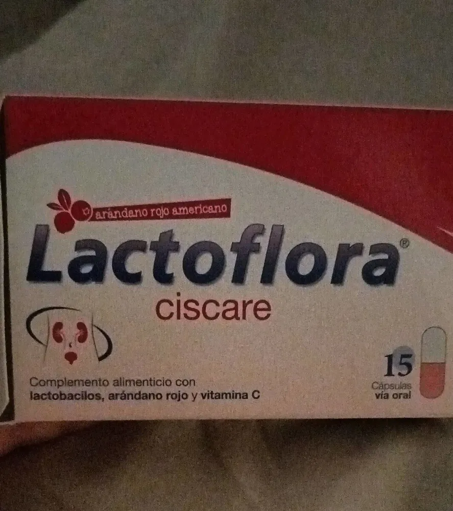 Lactoflora