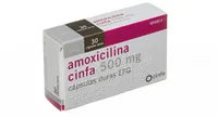 Amoxicilina 500 mg cápsulas duras