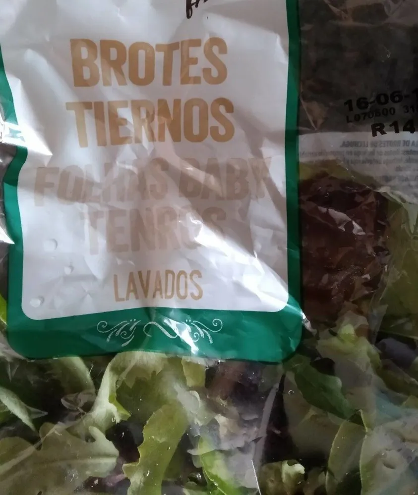 Brotes tiernos