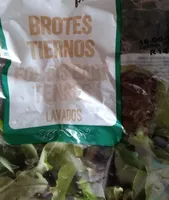 Brotes tiernos