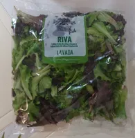Folhas baby alface frosada