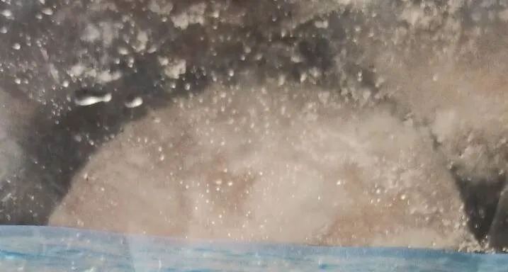 Rodajas de merluza argentina