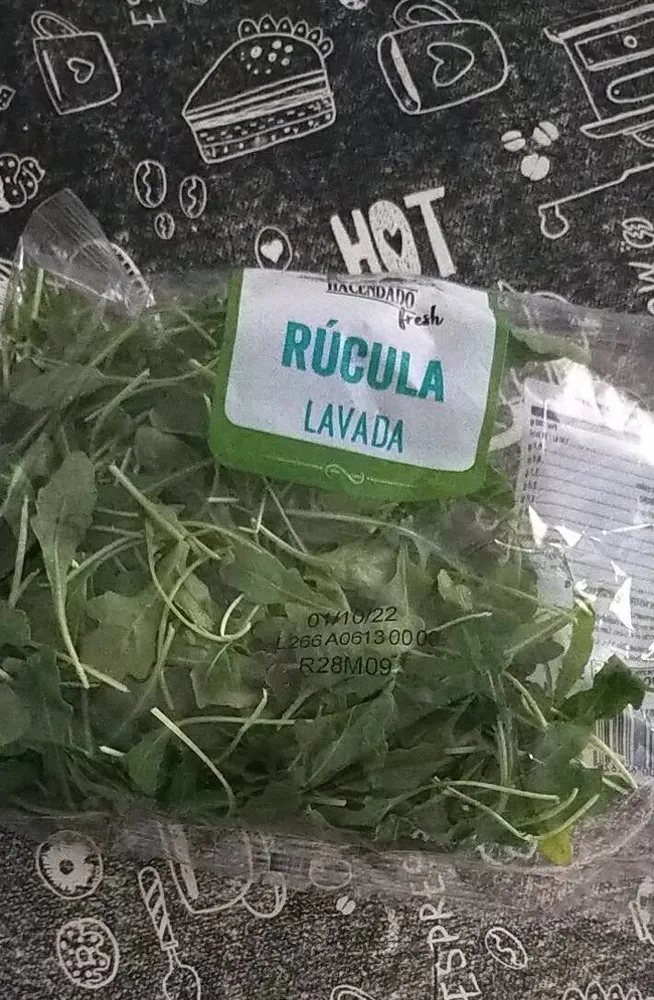 Rúcula