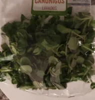 Canónigos lavados
