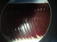 Jamón de pato