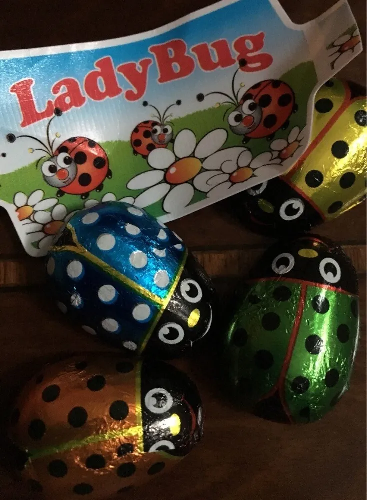 Lady Bug