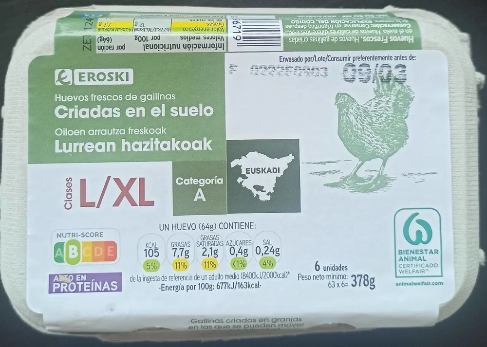 Huevos frescos de gallinas L/XL