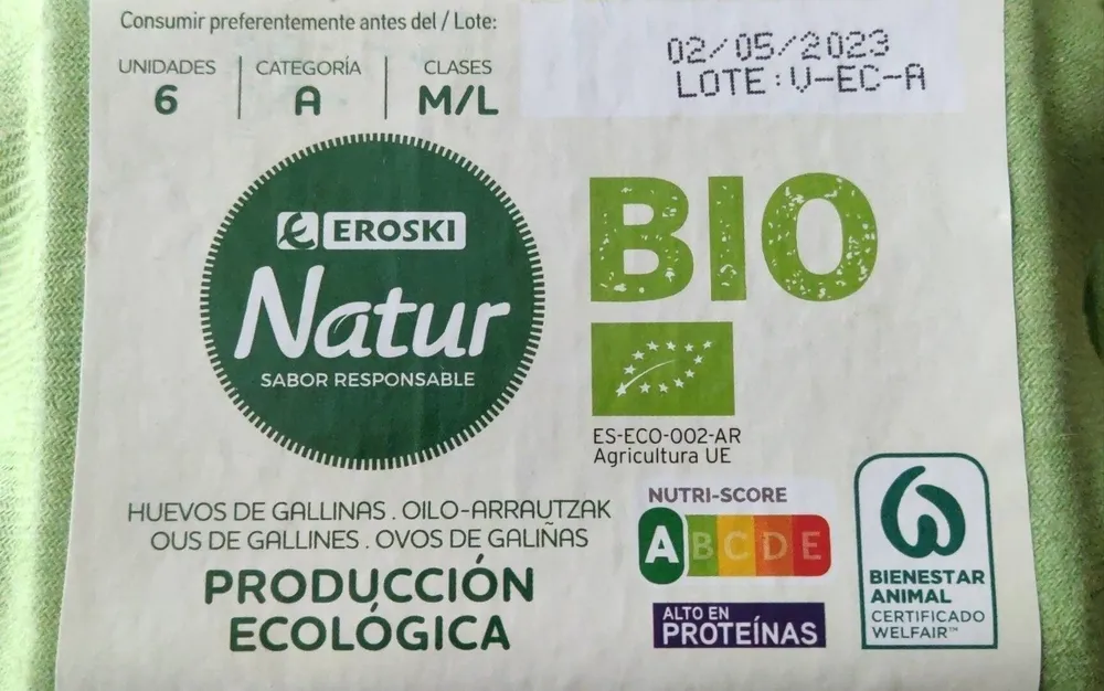 Huevos de gallinas ecológicos