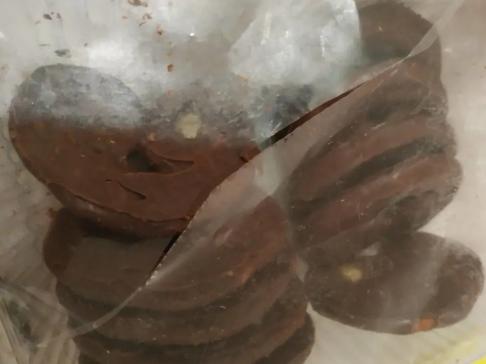 Palmeras al cacao