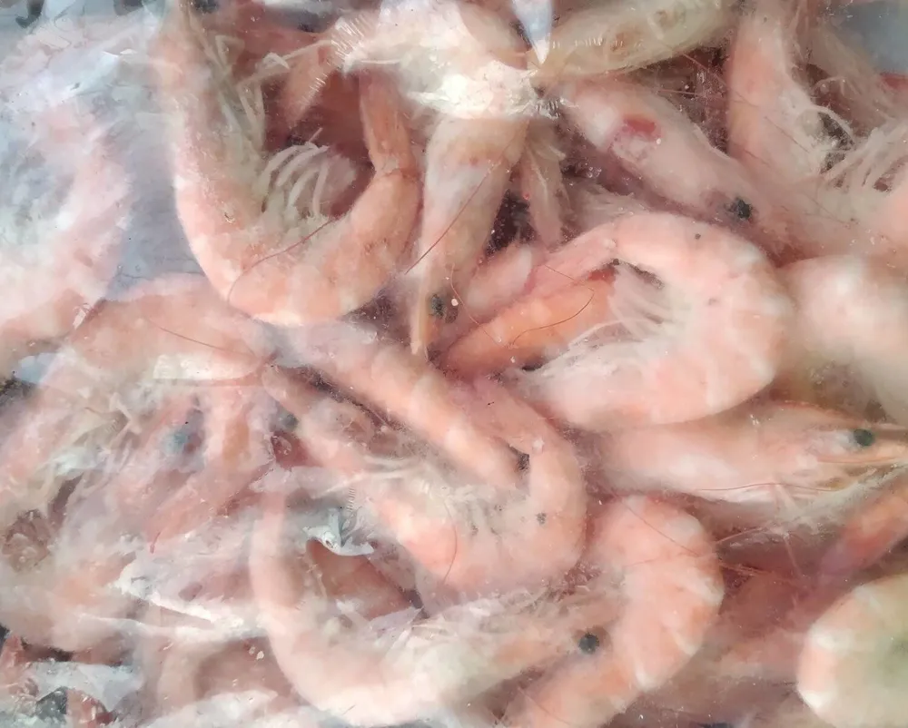 Langostinos cocidos