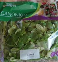 Canónigo