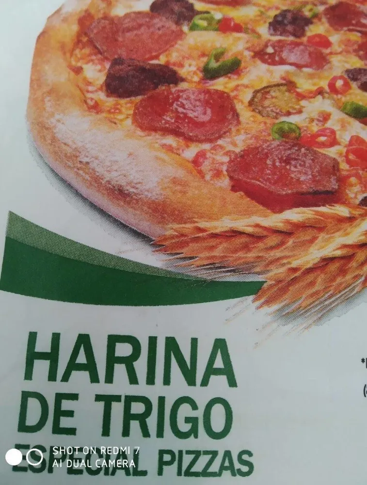 Harina de trigo especial pizzas