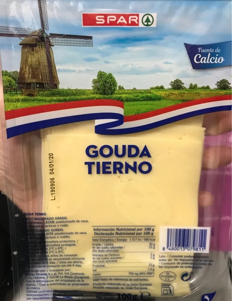 Gouda Tierno