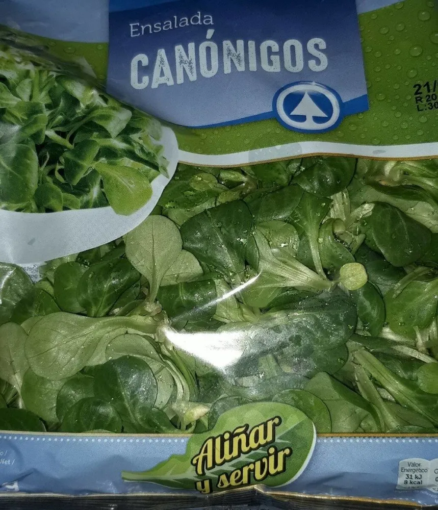 Canónigos