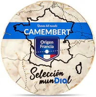 Queso camembert