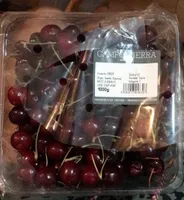 Cereza