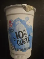 Iogurte Natural Integral