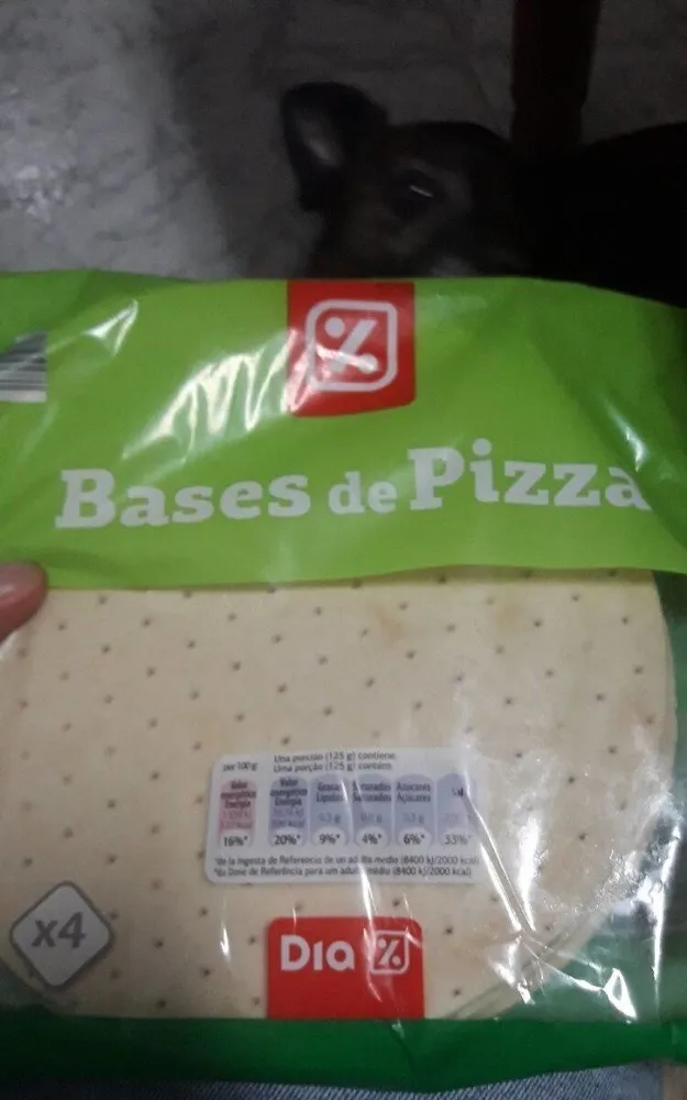 Bases de pizza