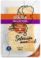 Queso gouda sin lactosa