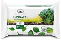 Espinacas cortadas