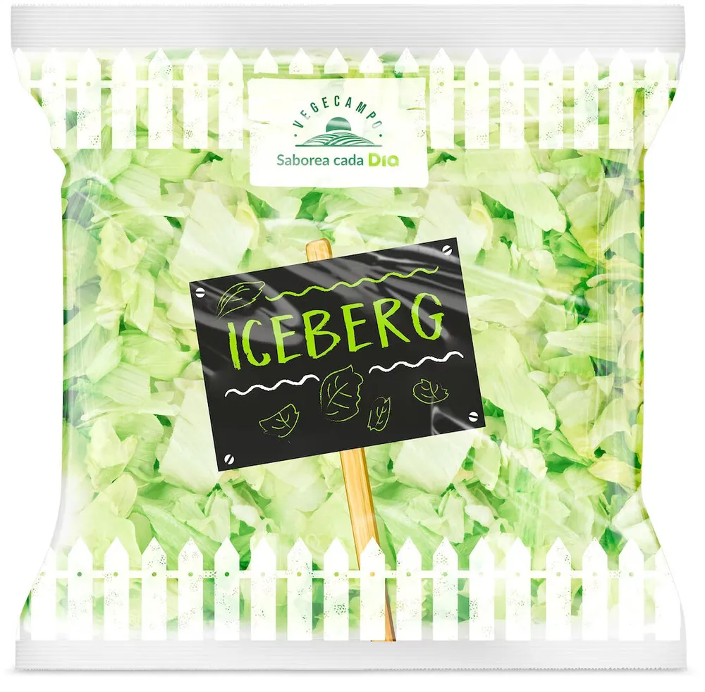 Iceberg