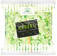 Iceberg
