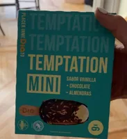 Temptation mini helado dia