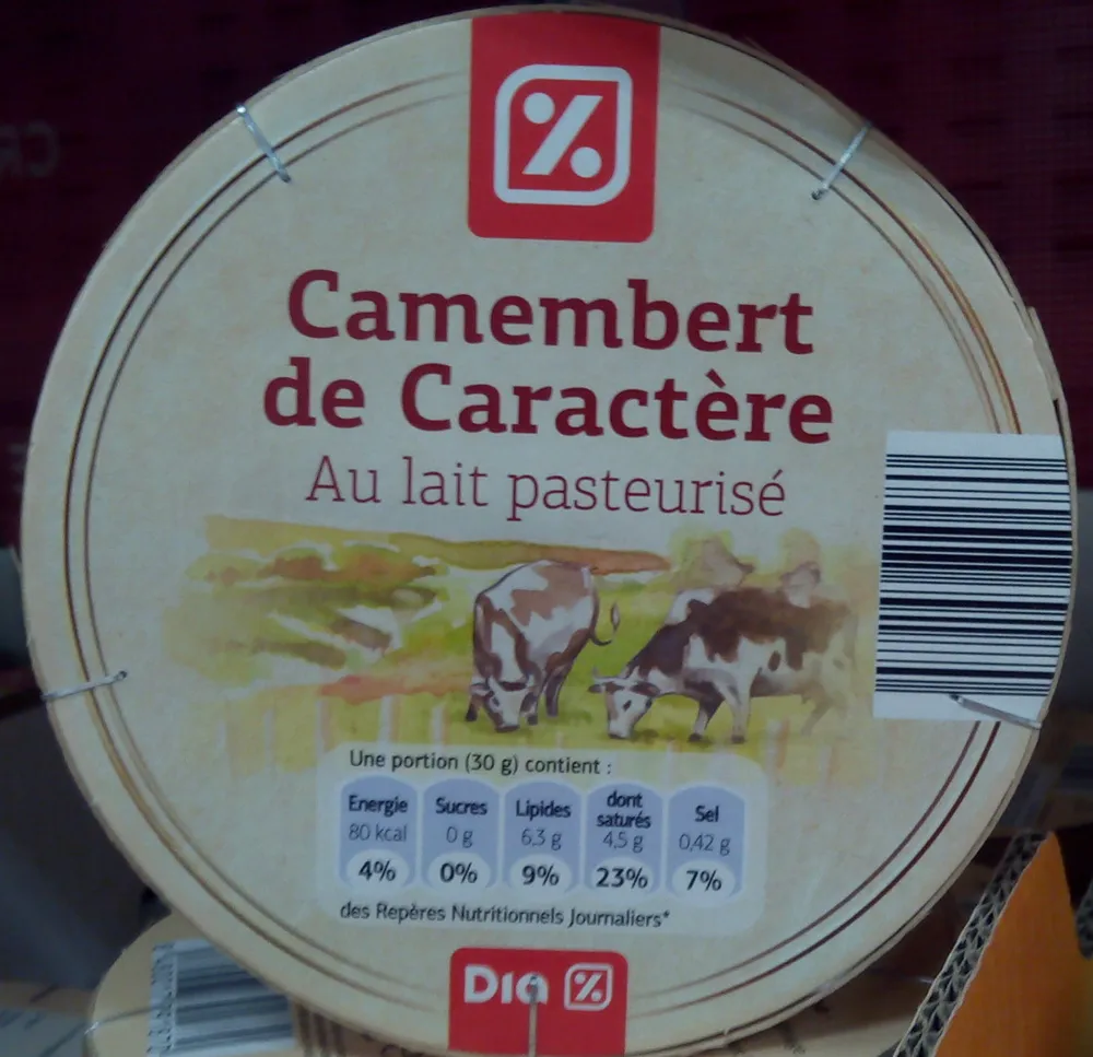 Camembert de Caractère au Lait Pasteurisé (21 % MG)