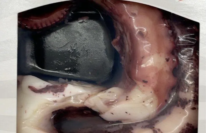 Pulpo cocido