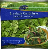 Canónigos