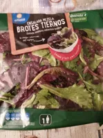 Ensalada mezcla brotes tiernos
