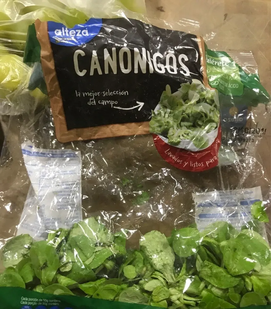 Canónigos