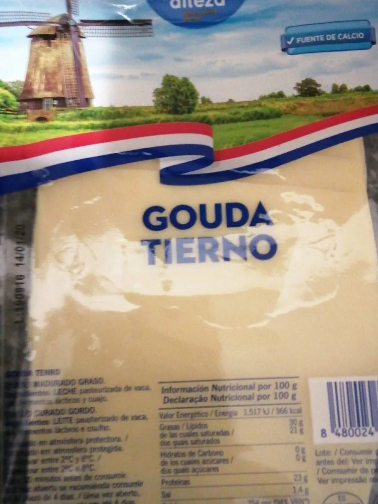 Gouda tierno